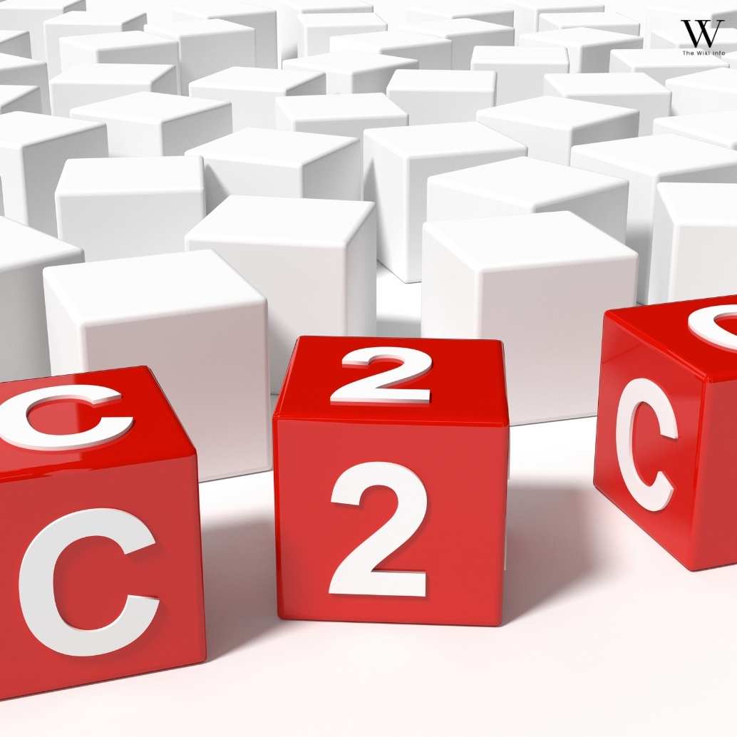 C2C Position Meaning in Simple Words
