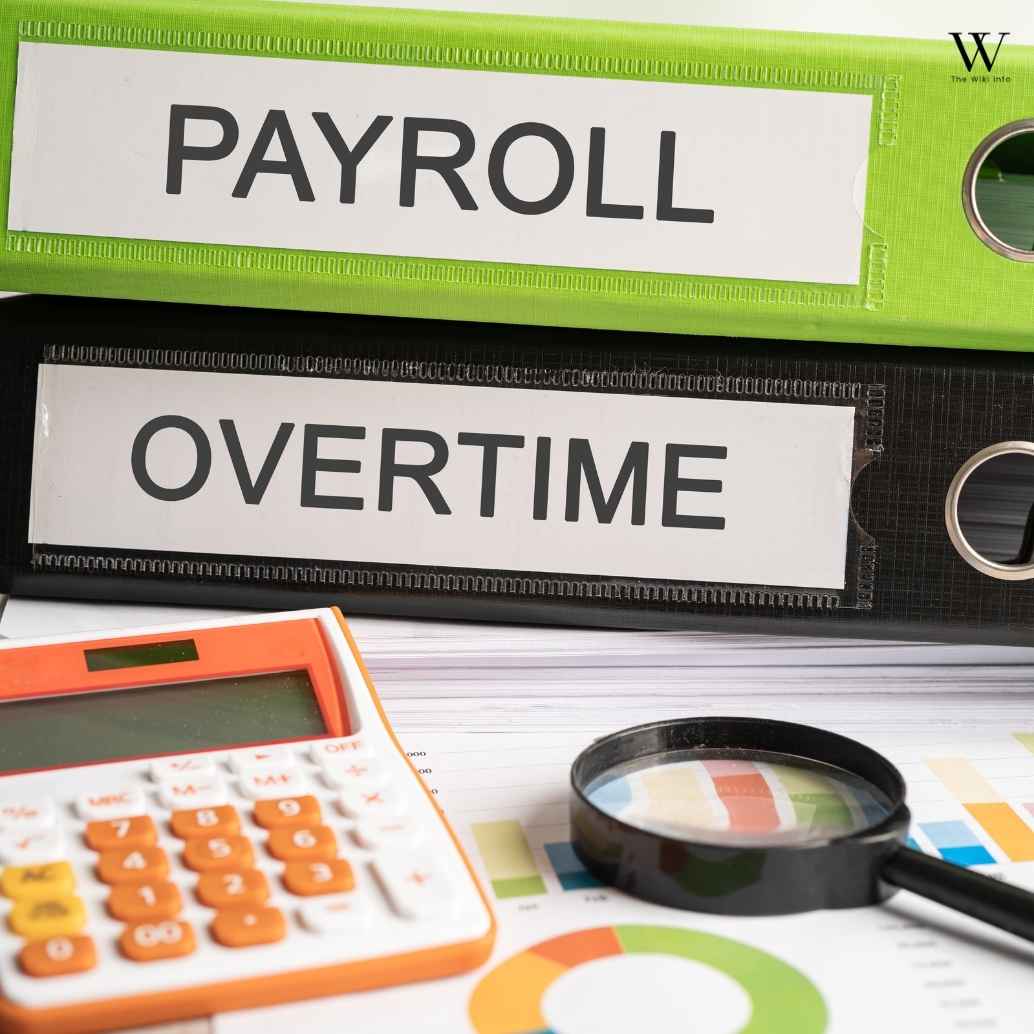 Employer Discovery and Payroll Visibility
