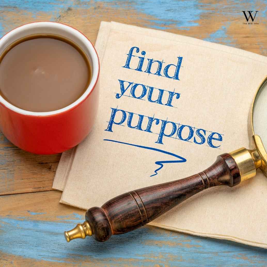 Current Website Identity and Purpose