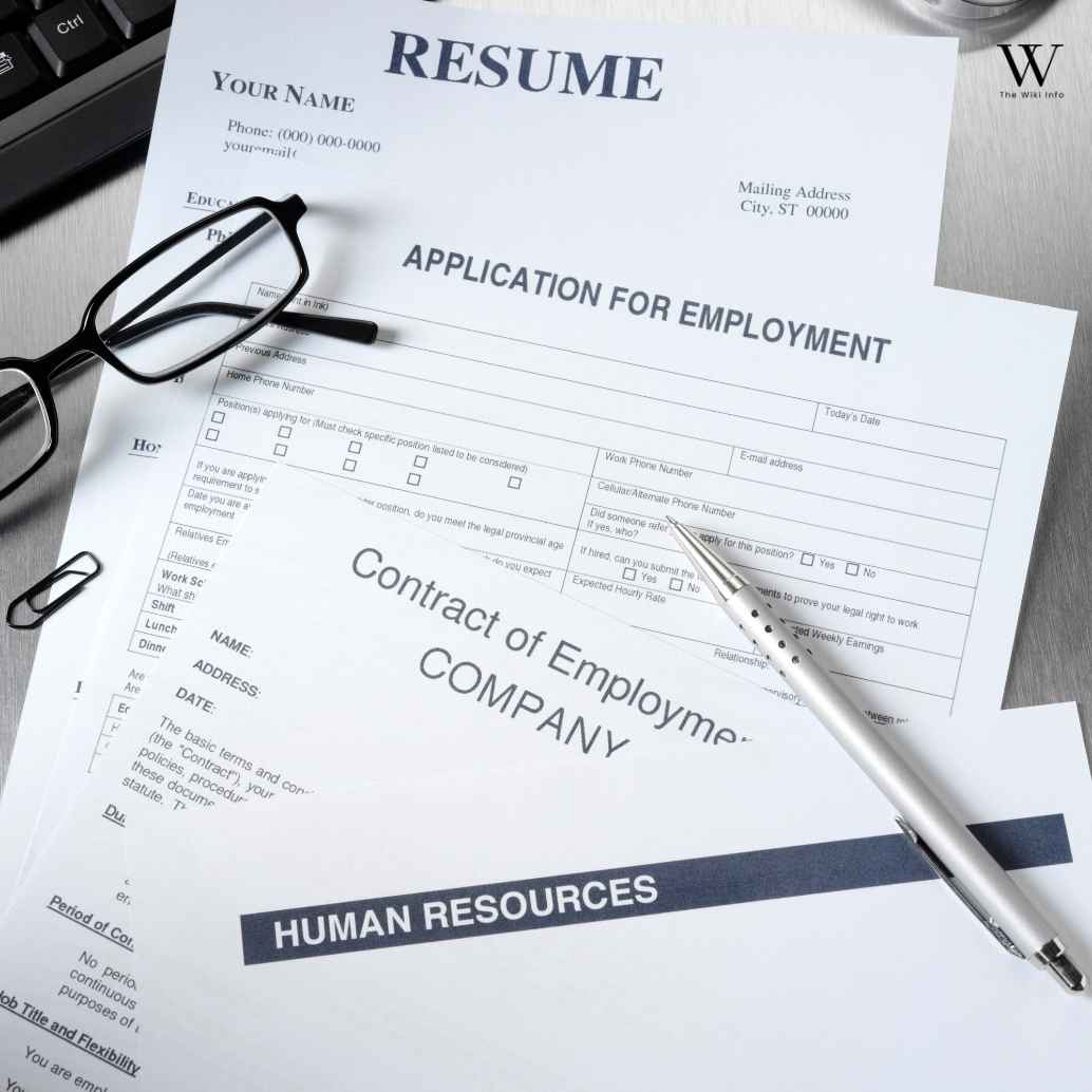 Resume Templates and Format Options