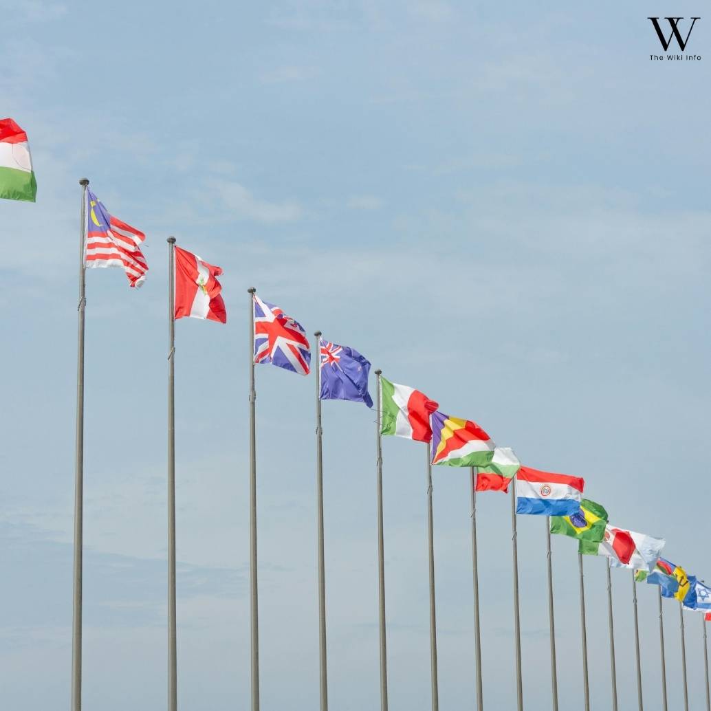 Legitimacy, Trust Signals, and Potential Red Flags