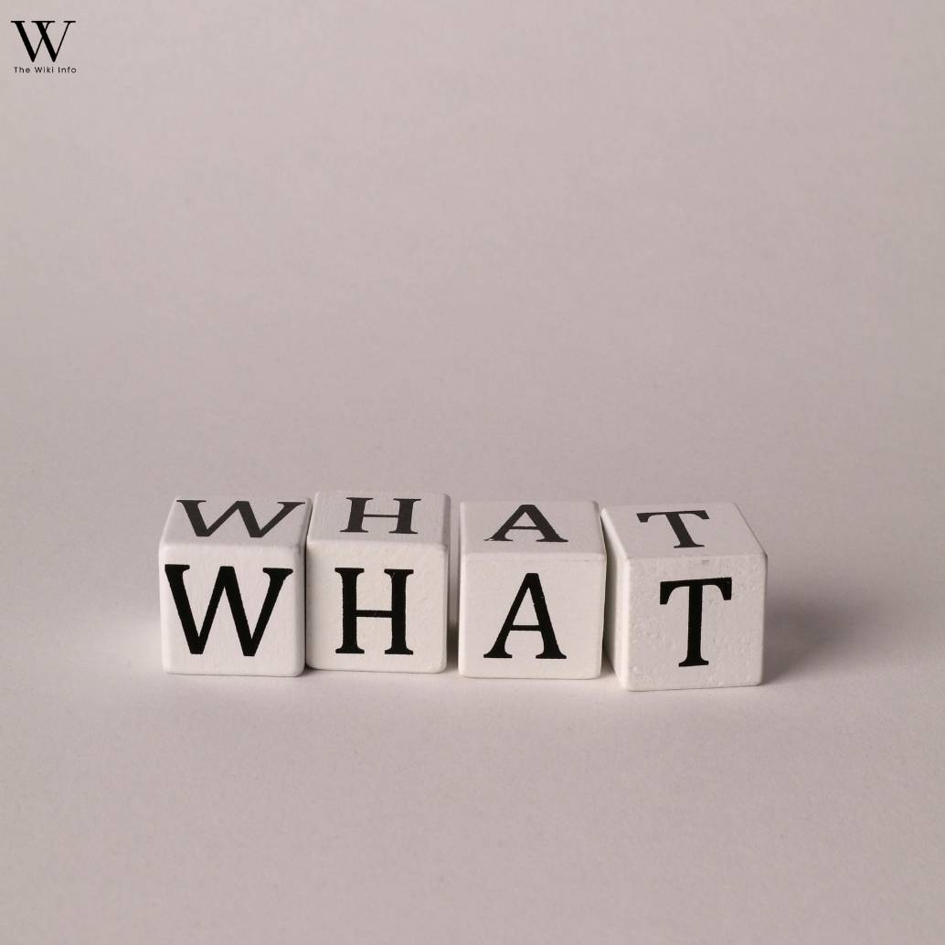 What Is Information Management?
